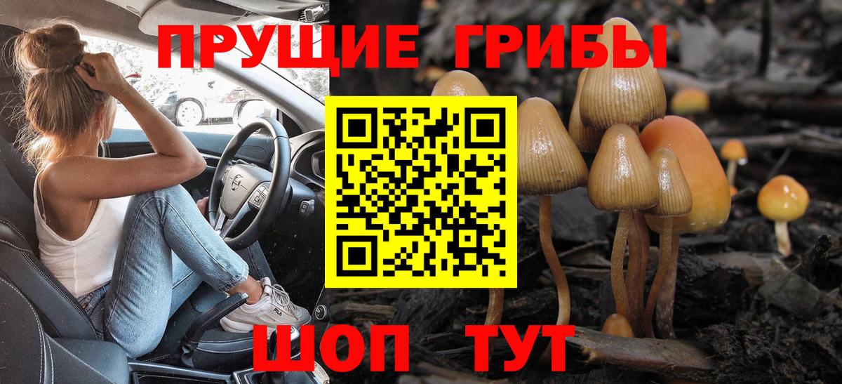 Псилоцибиновые грибы GOLDEN TEACHER Сызрань