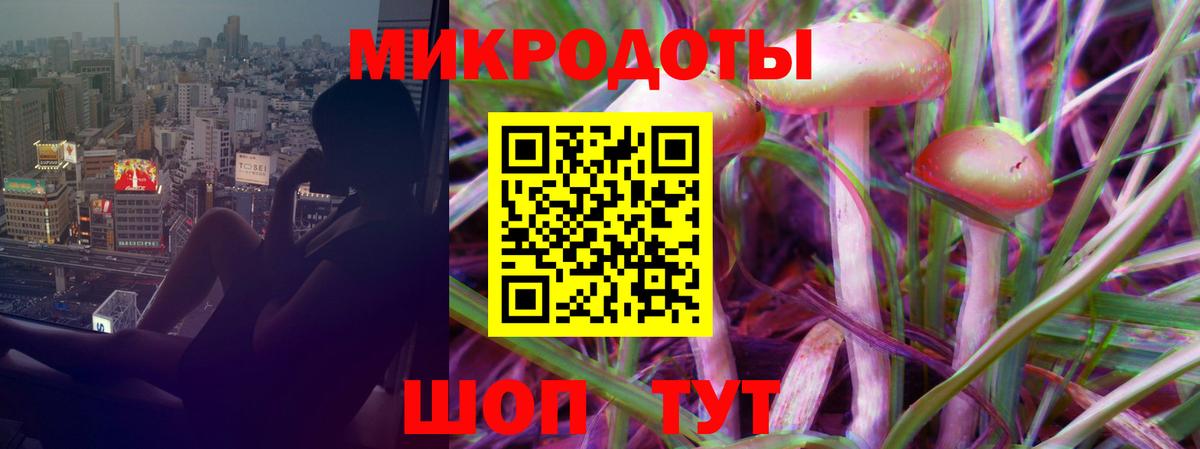Галлюциногенные грибы Psilocybe  Вход с VPN  Сызрань 